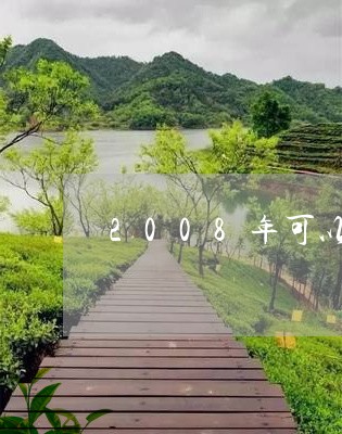 2008年可以兴班章金砖普洱茶/2023060272039