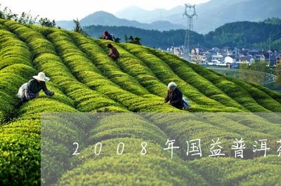 2008年国益普洱茶/2023080206048