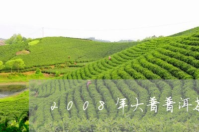 2008年大普普洱茶/2023080127140