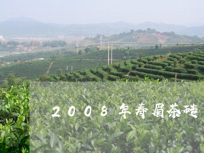 2008年寿眉茶砖/2023091310535