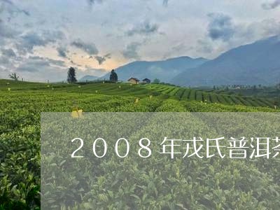 2008年戎氏普洱茶/2023100716846