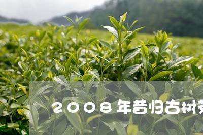 2008年昔归古树茶/2023092256138