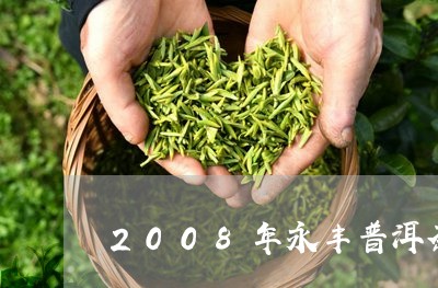 2008年永丰普洱茶/2023062851525