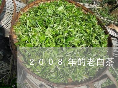 2008年的老白茶/2023121307050