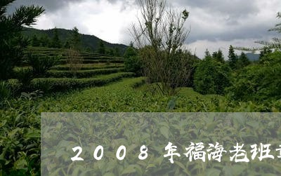 2008年福海老班章/2023092482713