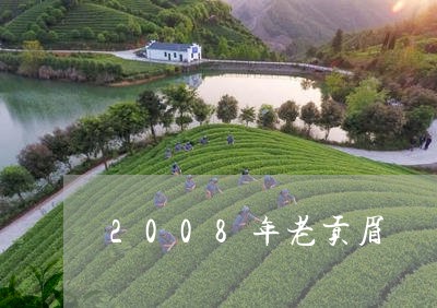 2008年老贡眉/2023090886260