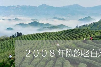 2008年陈韵老白茶寿眉茶饼/2023062843927