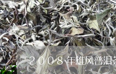 2008年雄风普洱茶/2023092525161