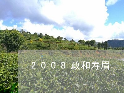 2008政和寿眉/2023090824849