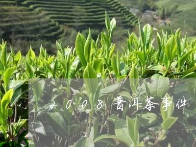 2008普洱茶事件/2023070908473