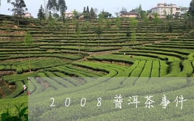 2008普洱茶事件/2023091491825