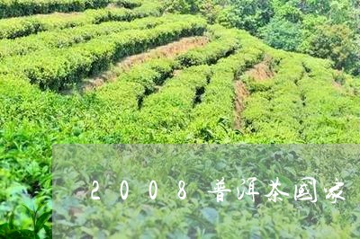 2008普洱茶国家/2023091441916