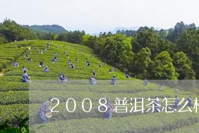 2008普洱茶怎么样/2023100836148