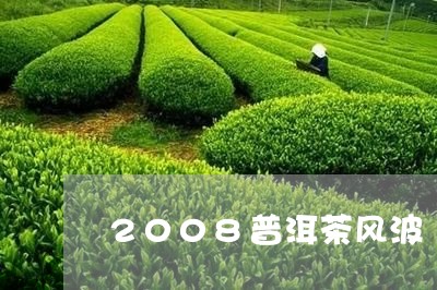 2008普洱茶风波/2023070935838