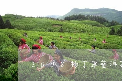 2008杨丁章普洱茶/2023080127361