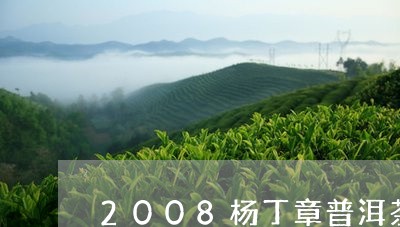 2008杨丁章普洱茶/2023100548369