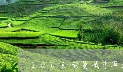 2008老曼峨普洱茶400g生茶/2023060385158