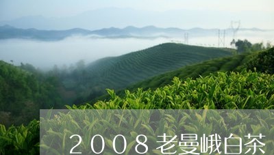 2008老曼峨白茶/2023071320581