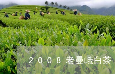 2008老曼峨白茶/2023121323957