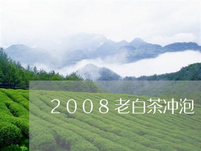 2008老白茶冲泡/2023111710470