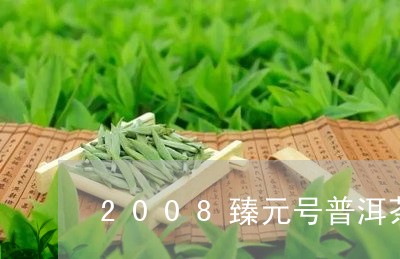 2008臻元号普洱茶/2023101756160