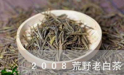 2008荒野老白茶/2023121362504