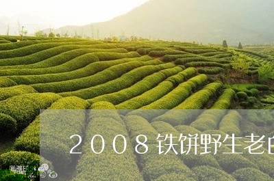 2008铁饼野生老白茶/2023111794040