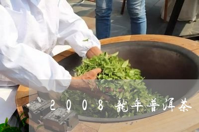 2008龙年普洱茶/2023071082605