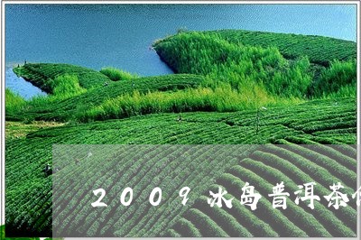 2009冰岛普洱茶价格表与图片/2023060267472