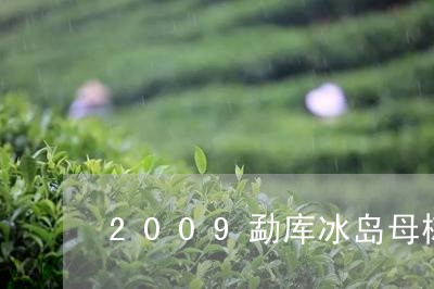 2009勐库冰岛母树/2023092302836