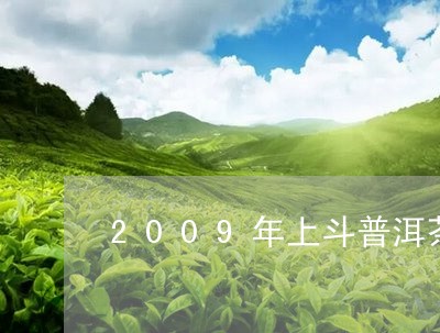 2009年上斗普洱茶/2023080221706