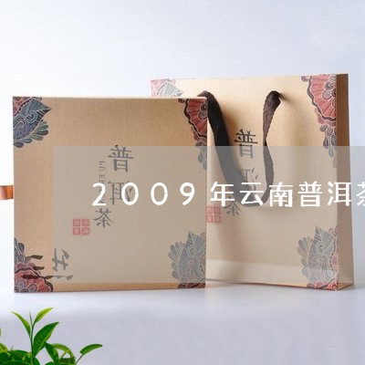 2009年云南普洱茶勐海七子饼/2023060246041