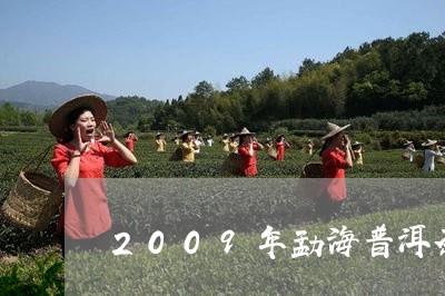 2009年勐海普洱茶/2023062851702