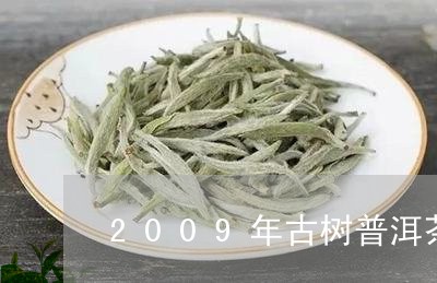 2009年古树普洱茶/2023080252694