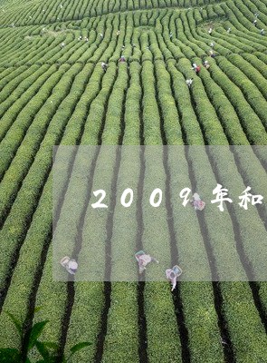 2009年和关普洱茶/2023062408471