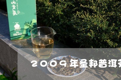 2009年圣邦普洱茶/2023080161593