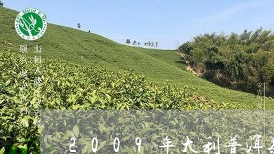 2009年大利普洱茶/2023100521492