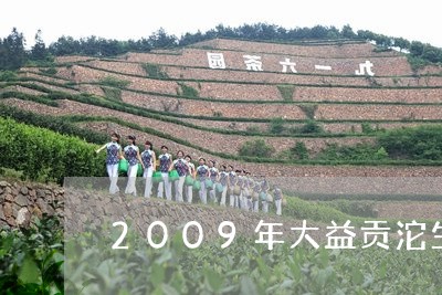 2009年大益贡沱生茶怎么样/2023053188584