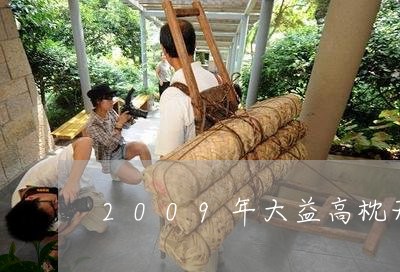 2009年大益高枕无忧茶砖/2023052662925