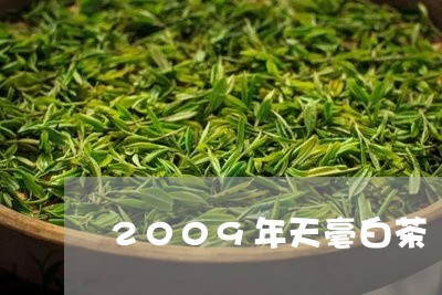 2009年天毫白茶/2023121396059