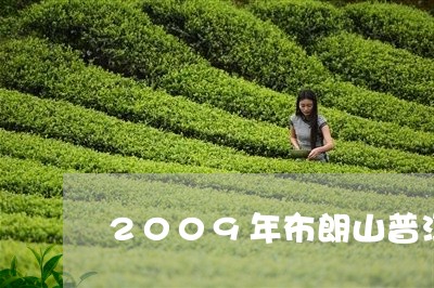 2009年布朗山普洱茶熟饼/2023052728374