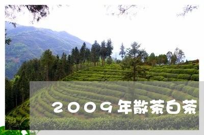 2009年散茶白茶/2023121384046