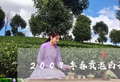 2009年春贡老白茶/2023092731612