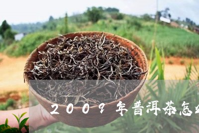 2009年普洱茶怎么样/2023050681391