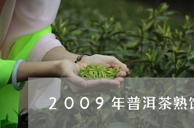 2009年普洱茶熟饼/2023080105937