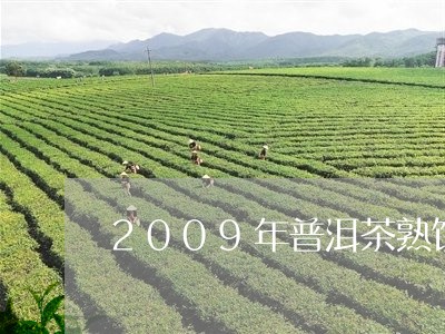 2009年普洱茶熟饼/2023100665271