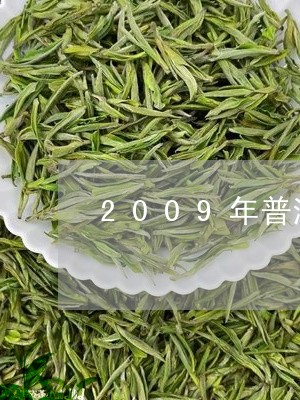 2009年普洱茶饼现在值多少钱/2023060242693