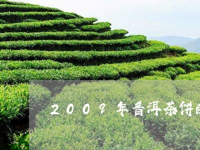 2009年普洱茶饼的价格多少钱/2023110501837