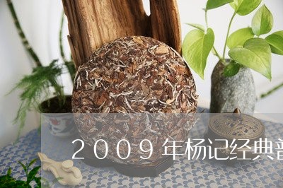 2009年杨记经典普洱茶/2023110204948