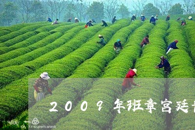 2009年班章宫廷普洱熟茶/2023052717070